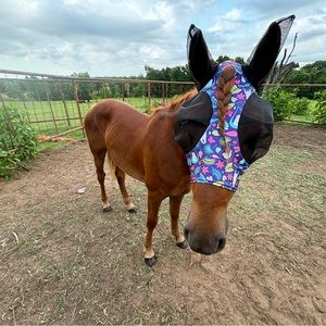 Meet your Posher, Candace